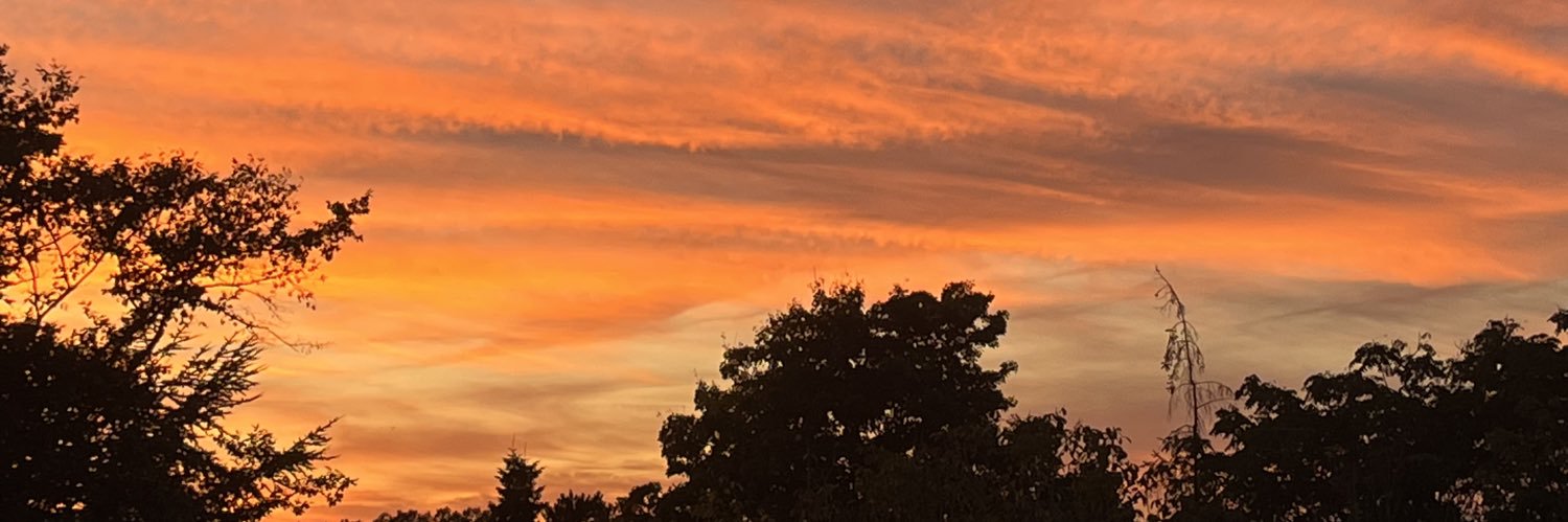 MarieTrnt's profile banner image