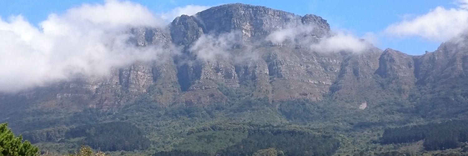 Leanne Lambley banner