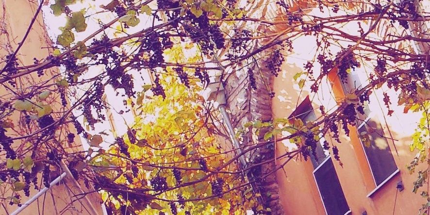 EmEmineist's profile banner image