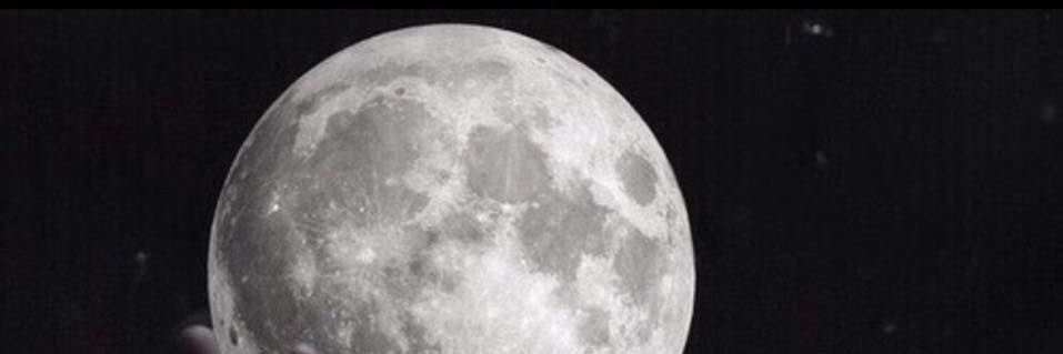 Mynzqs's profile banner image