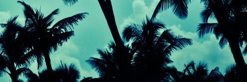 IsayaniH's profile banner image