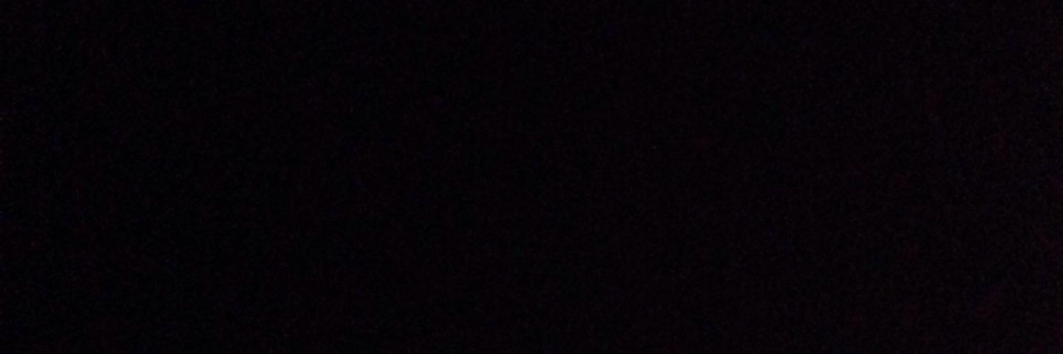lily banner