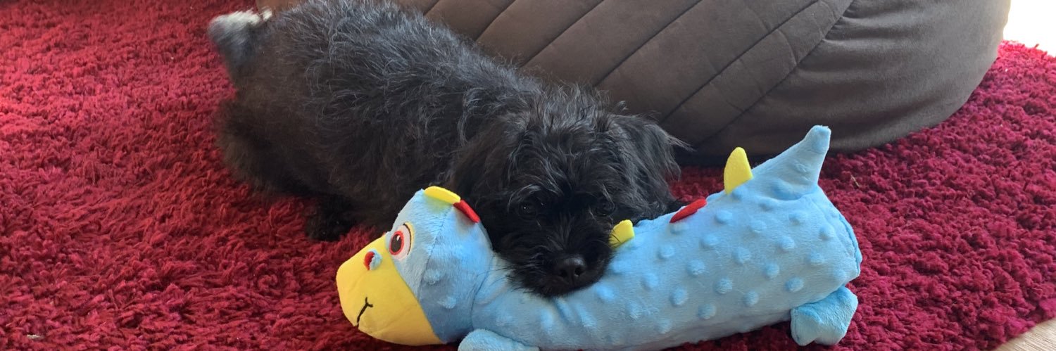 RobertonLily's profile banner image