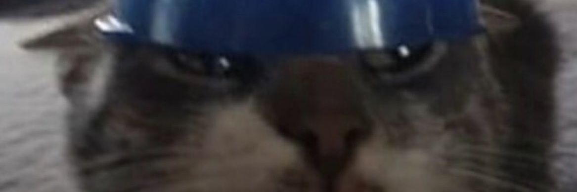 mxriselah's profile banner image