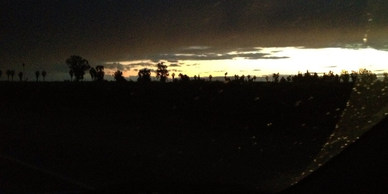 Angel Ramirez banner