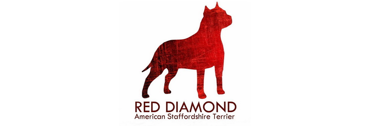 RedDiamondAST's profile banner image