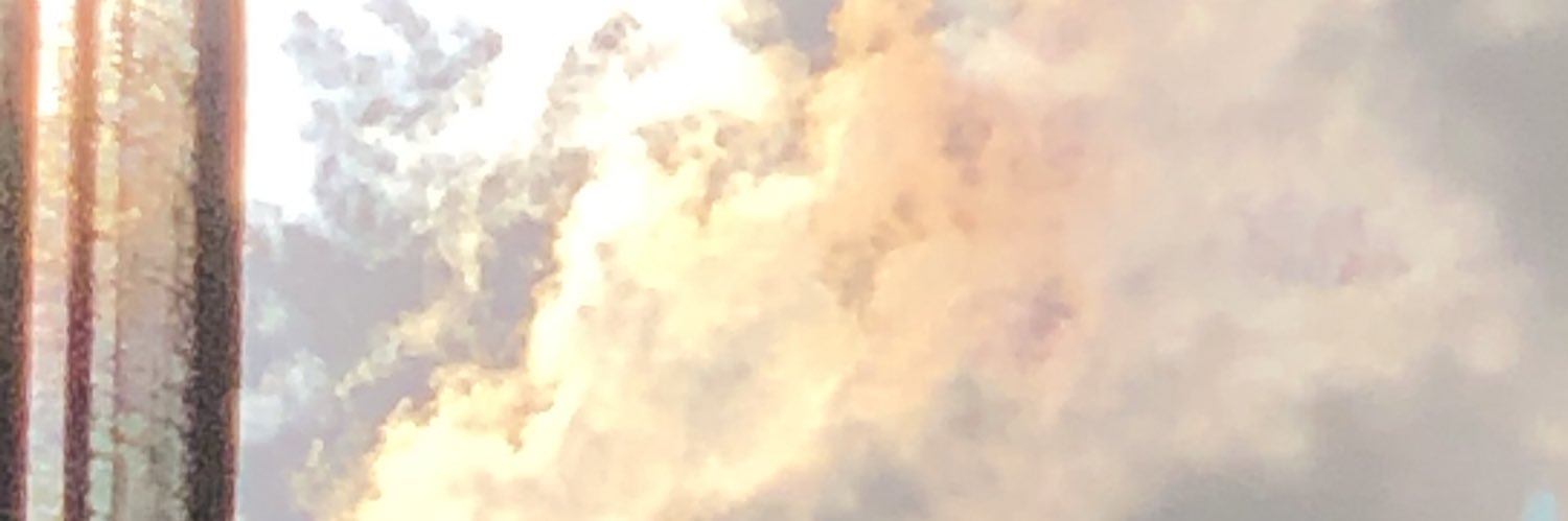 Colinetaiz's profile banner image