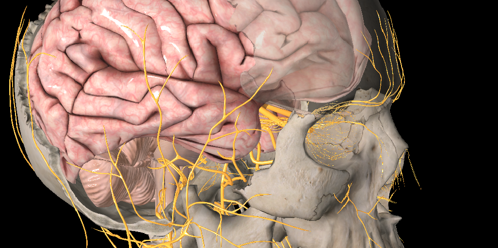 PittMedNSIG's profile banner image