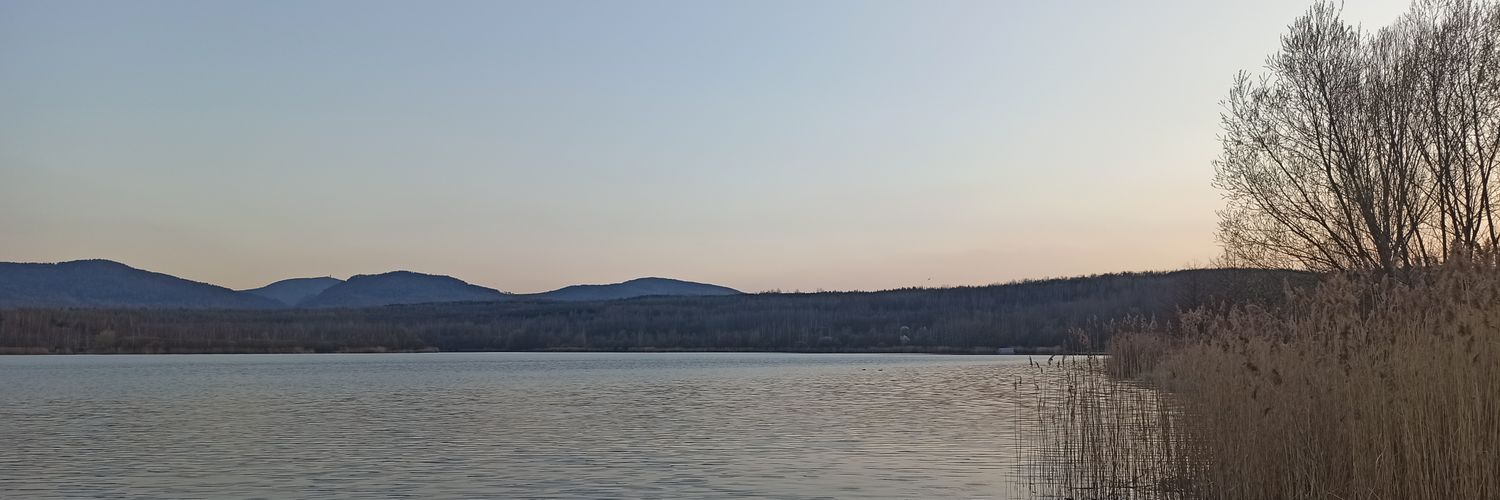 arschtraktiv's profile banner image