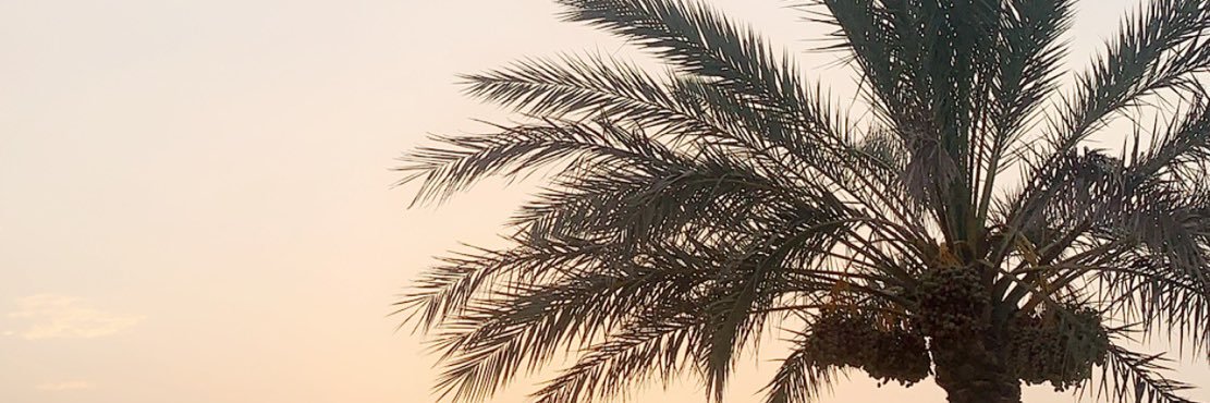 aamnn71's profile banner image
