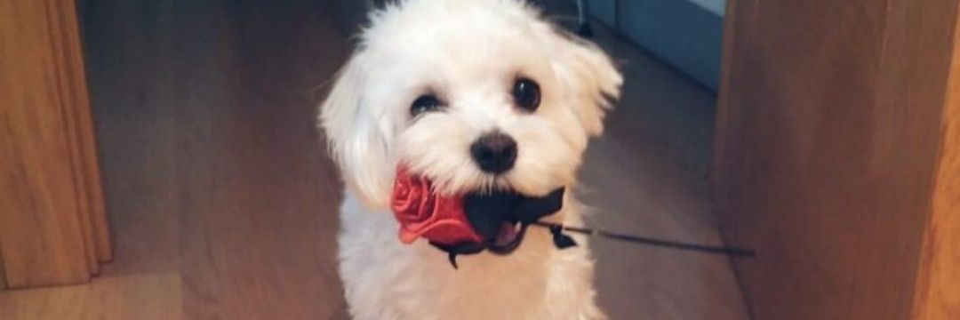 maragg_'s profile banner image