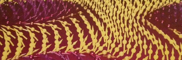 altustro Profile Banner