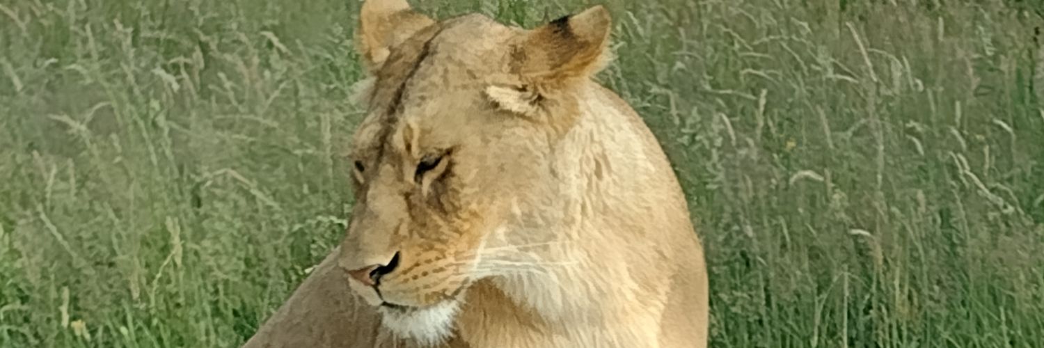 morten.busk.andersen banner