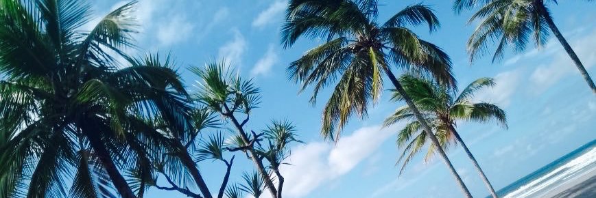 outsziam's profile banner image