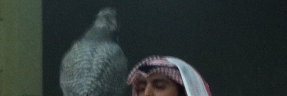 wadaaa7's profile banner image