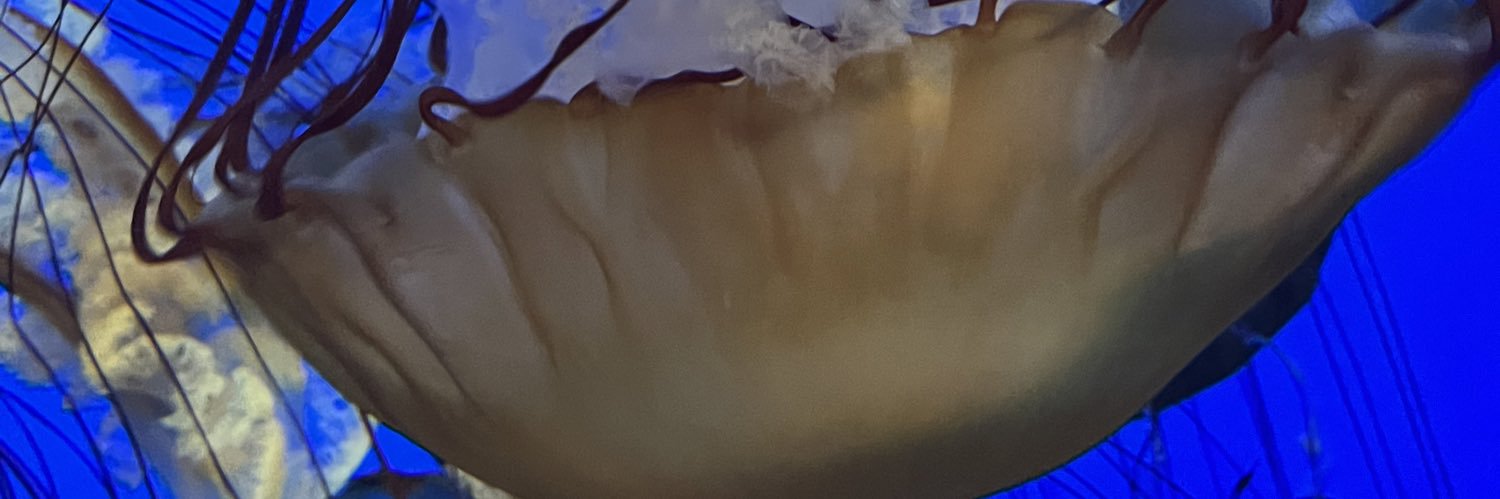 CAD12383's profile banner image
