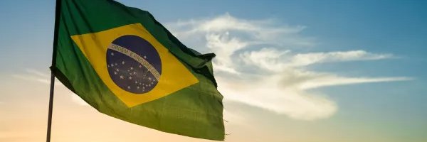 Woodpecker 🇧🇷 banner