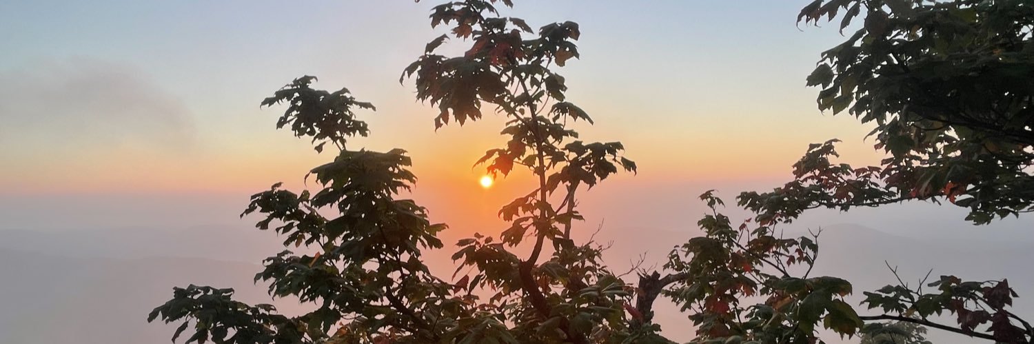 graceyancey's profile banner image