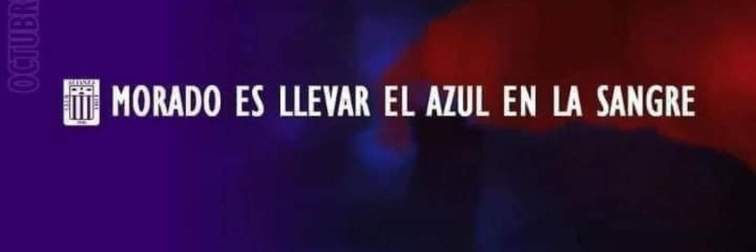 llvlliguel's profile banner image