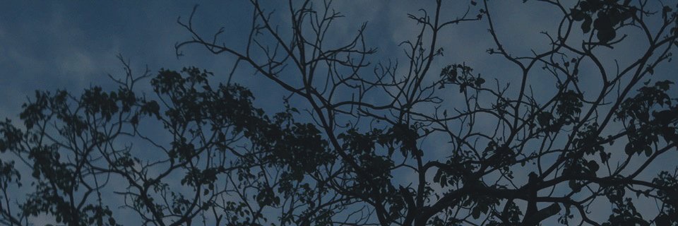 nurnsfa's profile banner image