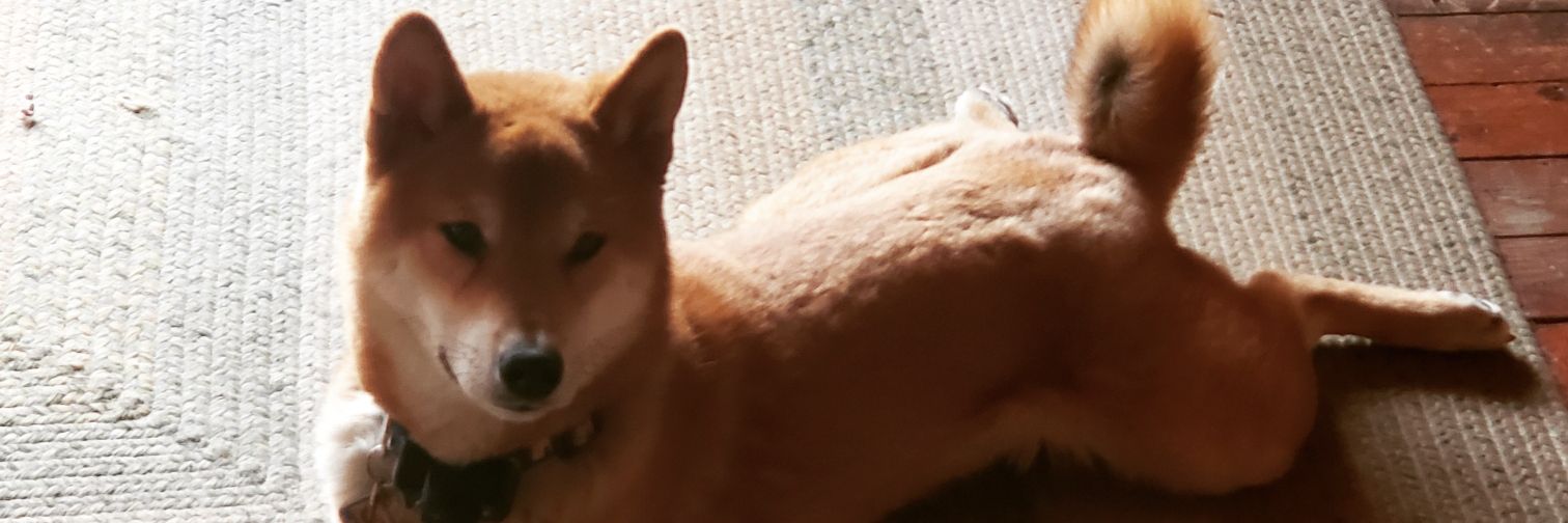 LeeOfAsh's profile banner image