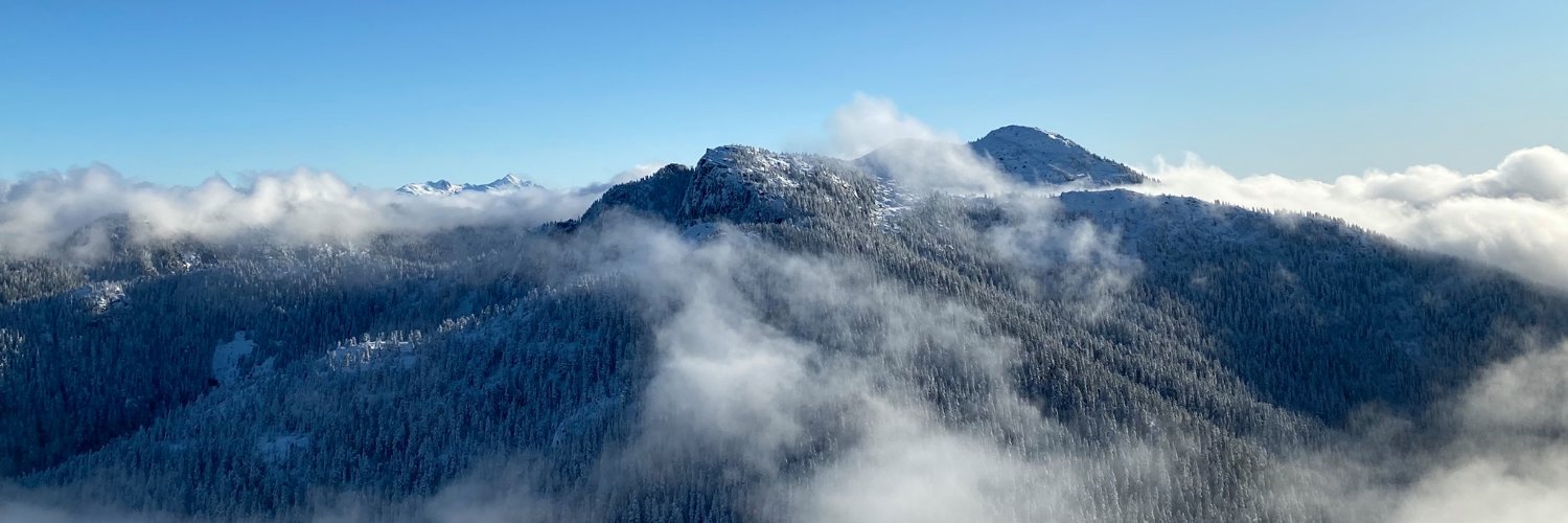 Sergey Kolesnikov banner