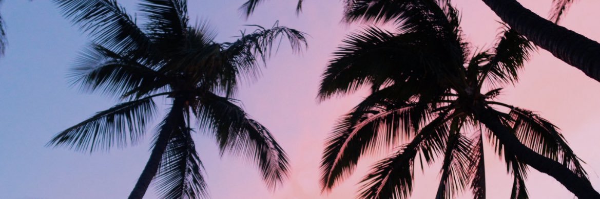 frankmaliano's profile banner image