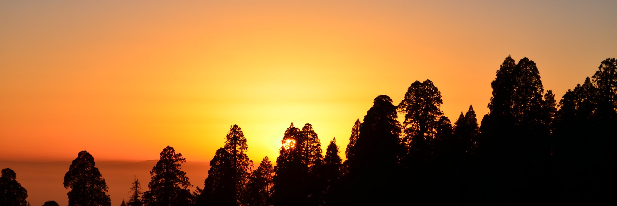 சிவகாசி நாடோடி banner