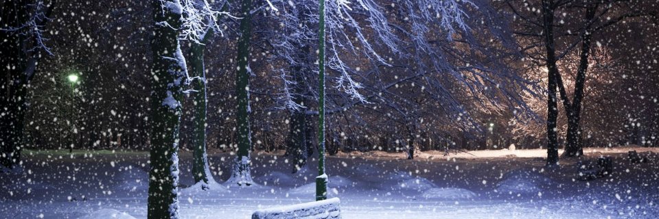 flye 🇫🇷 banner