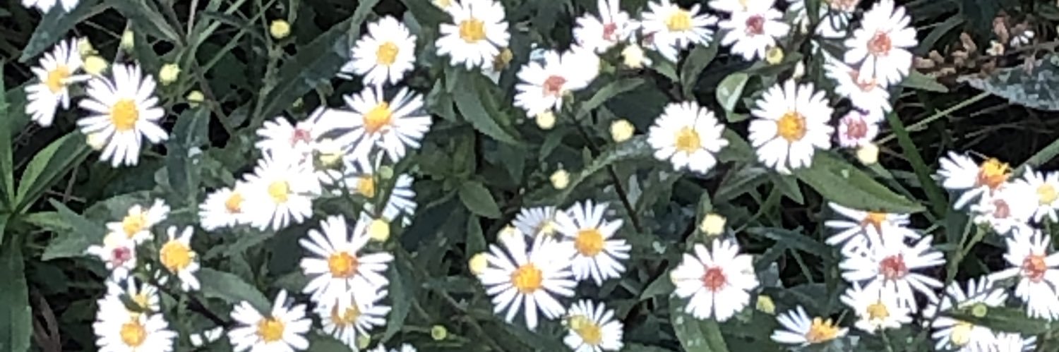 YanTwohands's profile banner image