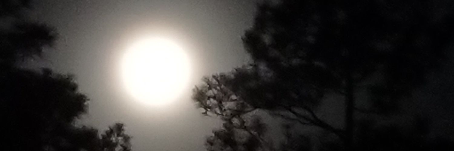 PleasureB84's profile banner image