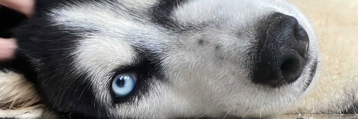 eingram_34's profile banner image