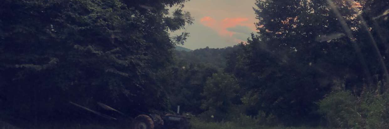 haileyhardin62's profile banner image