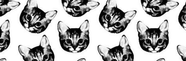 cochran_chels's profile banner image
