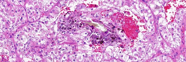 RDWhaleyMD Profile Banner