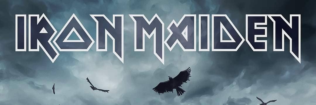 Lynne Knight, 💛💙🐺 banner