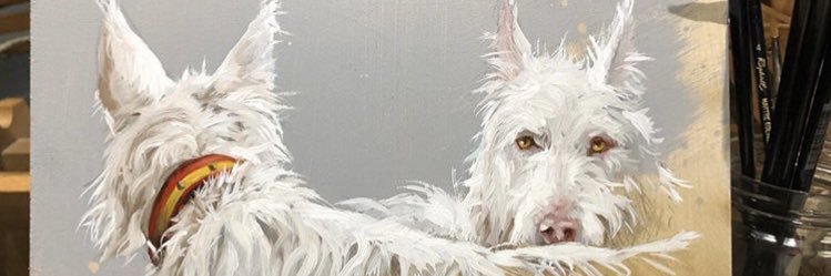 Anukitigre's profile banner image