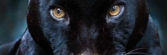 Joseisanchezf's profile banner image