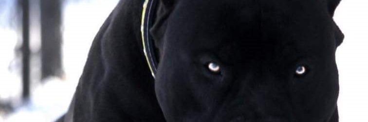 YourReal_NY's profile banner image