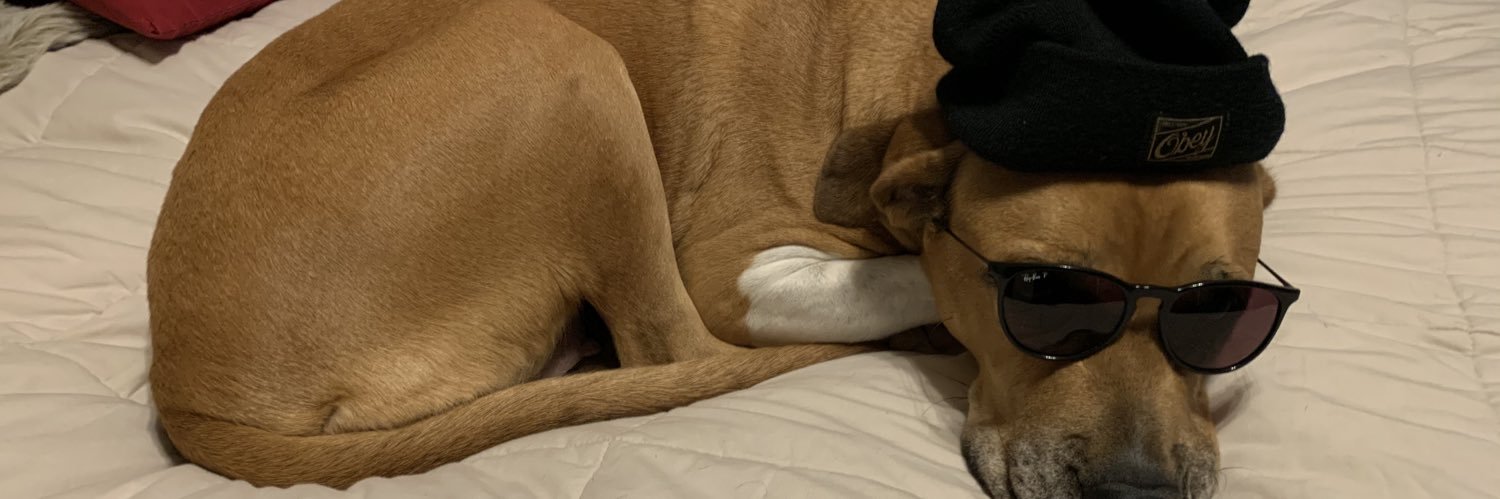 morganloth's profile banner image