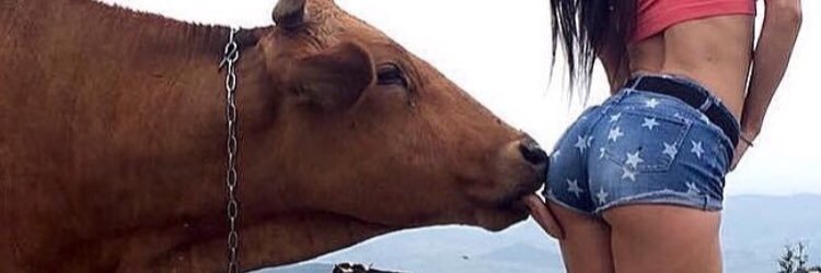 mattharris34's profile banner image