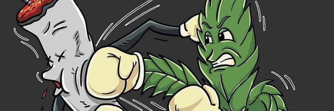 brunoafsilva1's profile banner image