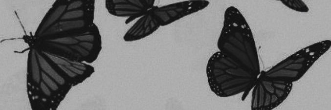 mclucius's profile banner image