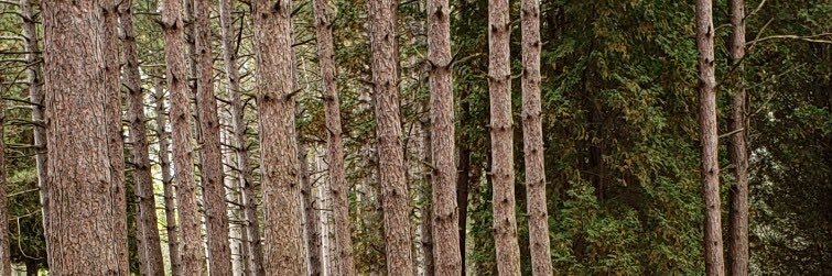 Katelyn_dalton_'s profile banner image