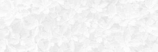mtk___nak's profile banner image