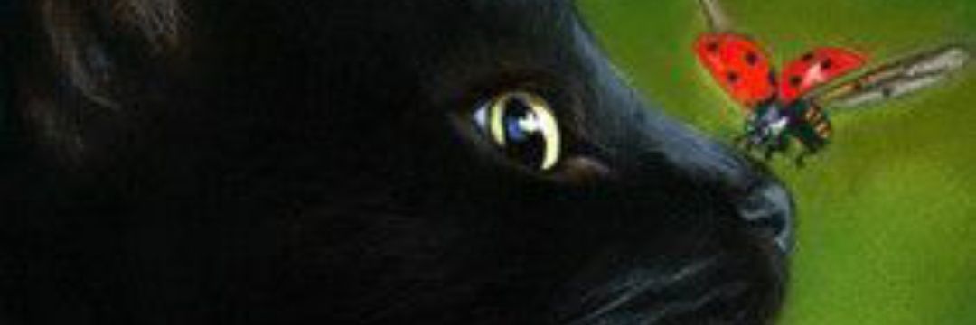 Soraya Vargas banner