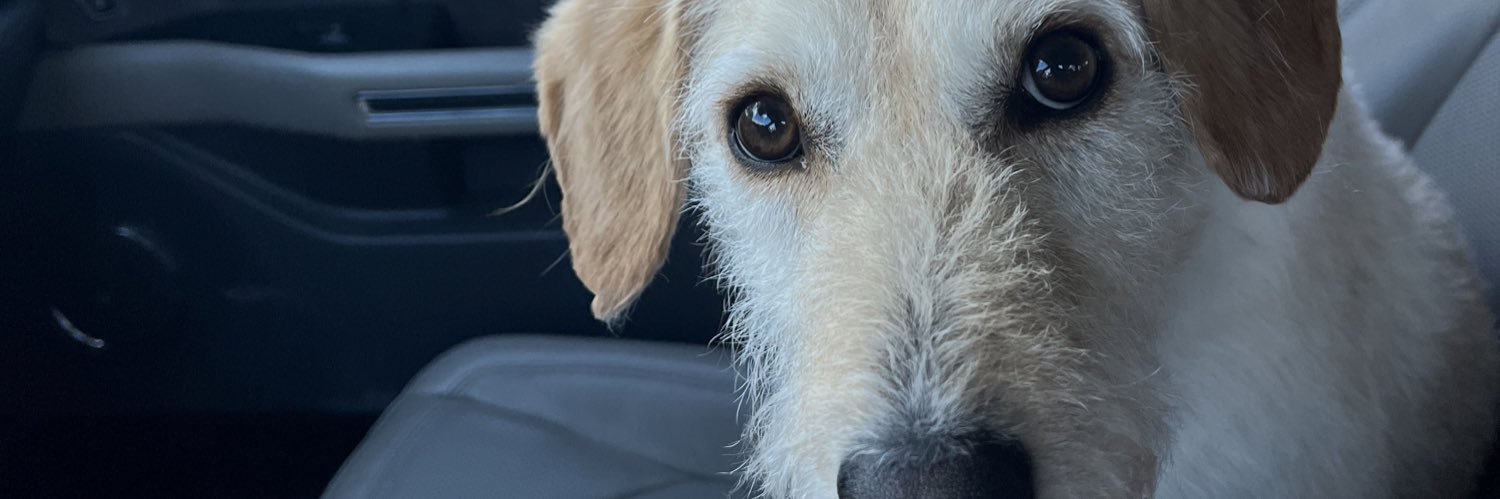 LakeMomLPB's profile banner image