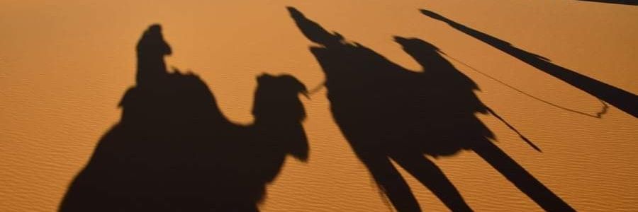 r_ponceleon's profile banner image