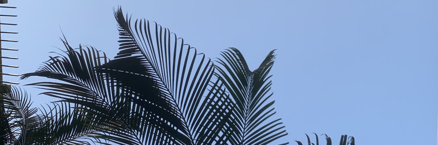 Grayu412's profile banner image