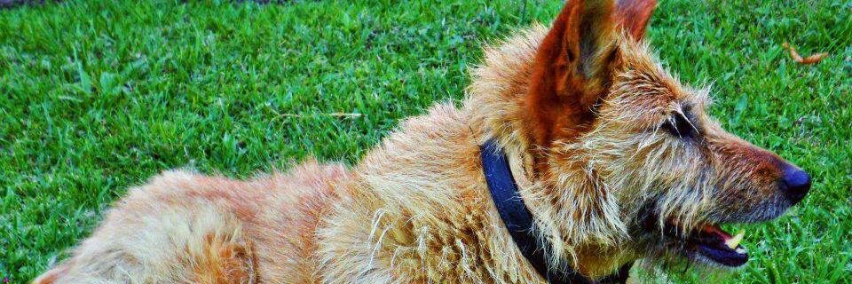 Leonkbe's profile banner image